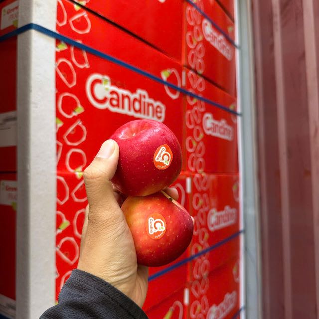 Táo Candy Pháp