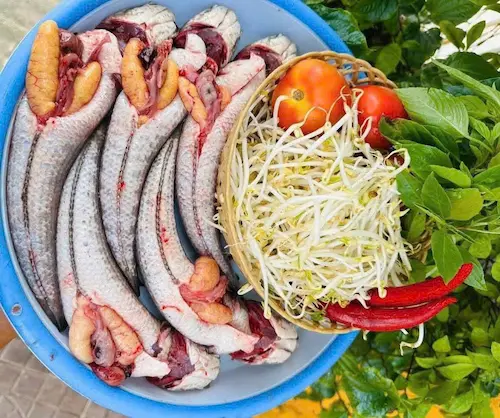 Cá lóc đồng full trứng