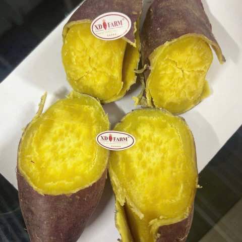 Khoai lang Nhật