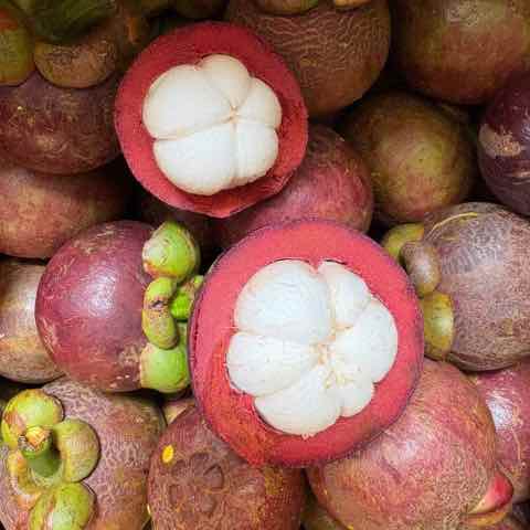 Măng cụt size trung