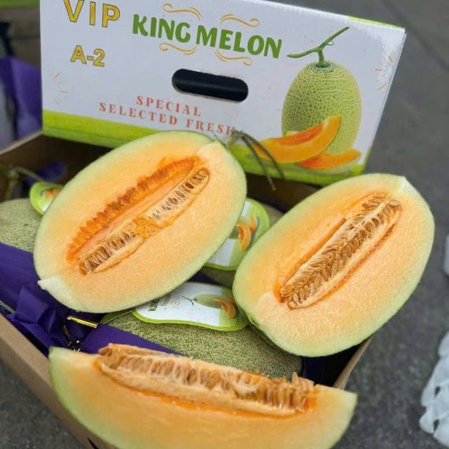 Dưa lưới Melon