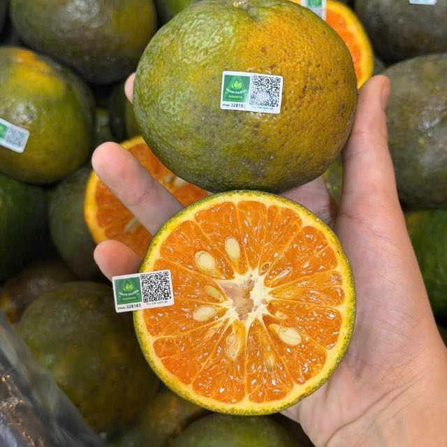 Cam hữu cơ Hai Đông