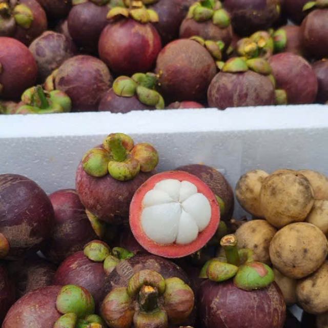 Măng cụt Lái Thiêu