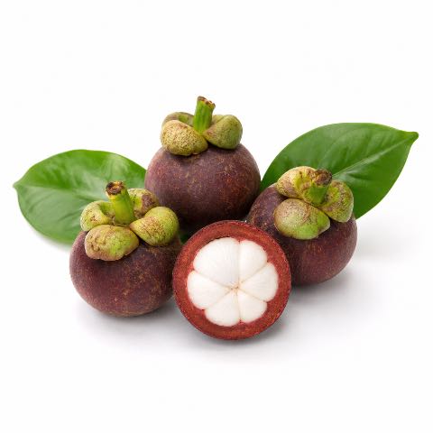 Măng cụt Lái Thiêu bi