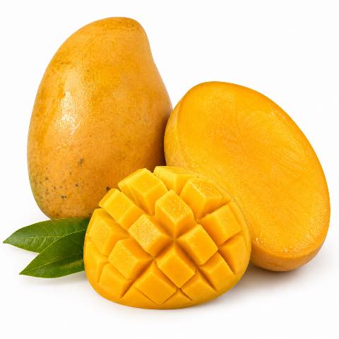 Xoài mủ chín cây